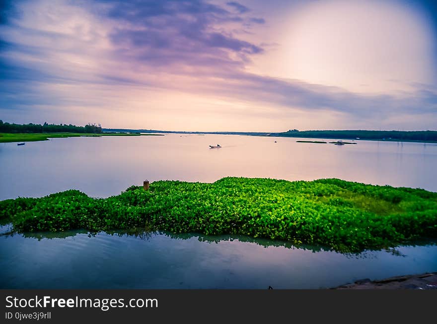 Reflection, Water, Nature, Green