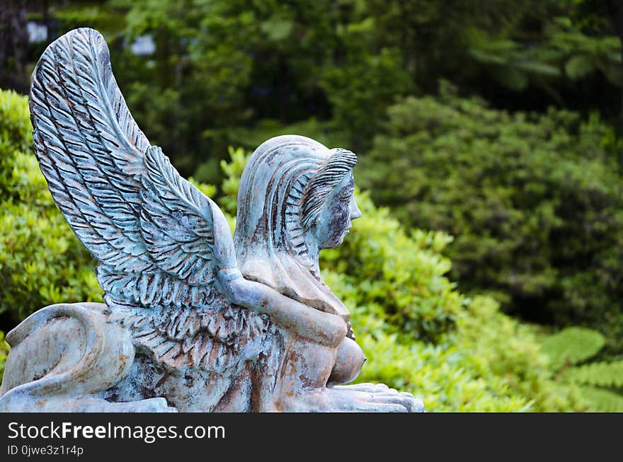 Statue, Sculpture, Stone Carving, Tree