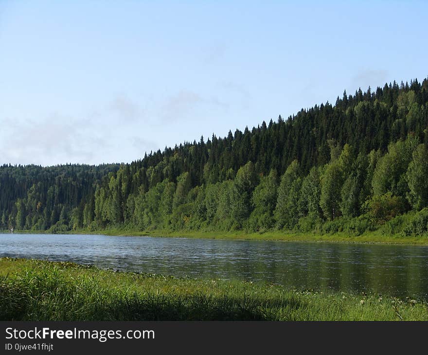 Nature, Ecosystem, Wilderness, Lake