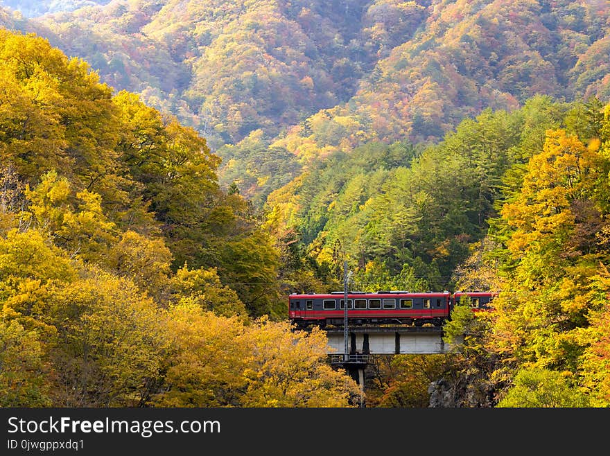 Red train commuter Fukushima Japan