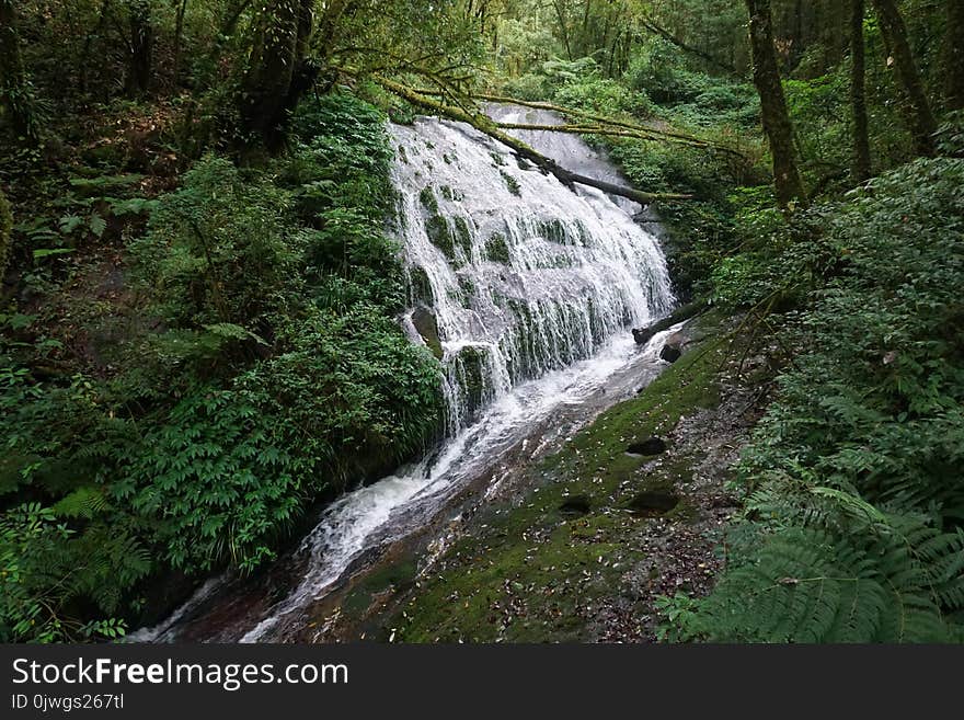 The waterfall in the mountain.