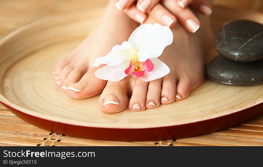 Care for beautiful woman legs with flower .