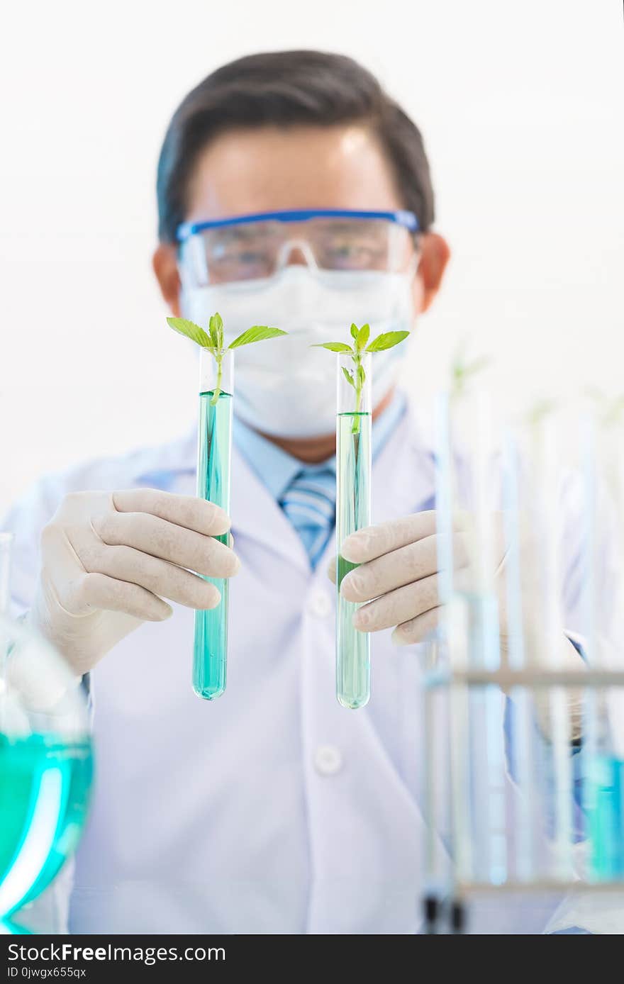 Waist-up portrait of middle-aged scientist wearing rubber gloves and safety mask holding two test tubes with sprouts in hands while wrapped up in research. Waist-up portrait of middle-aged scientist wearing rubber gloves and safety mask holding two test tubes with sprouts in hands while wrapped up in research.