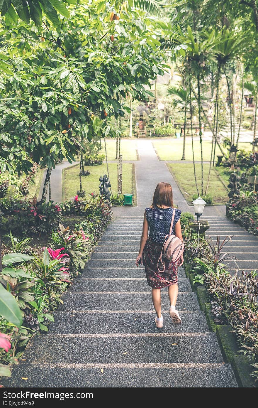 Woman in Blue and Red Dress Walking Down the Stairs