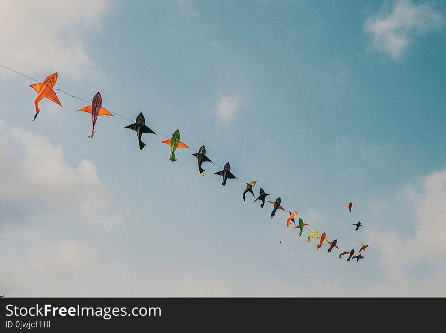 Assorted-color Kites