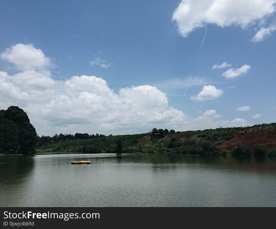 Landscape Photography of Lake Surrounded by Trees