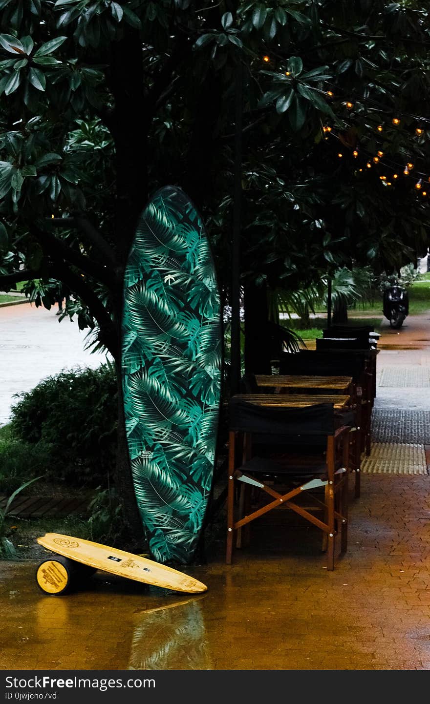 Green, White, and Black Leaf Print Surfboard Near Tree