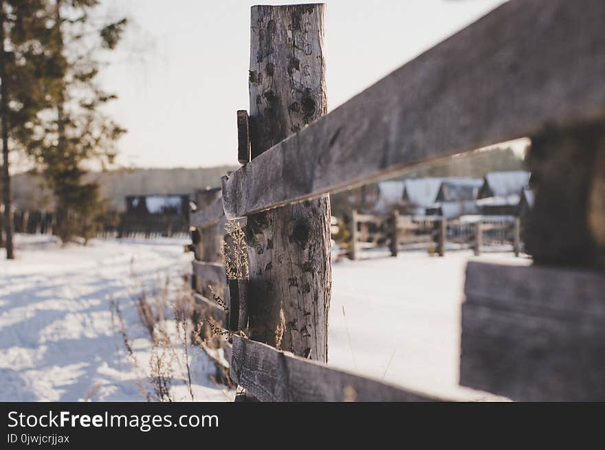 Close Photo of Brown Wooden Fence