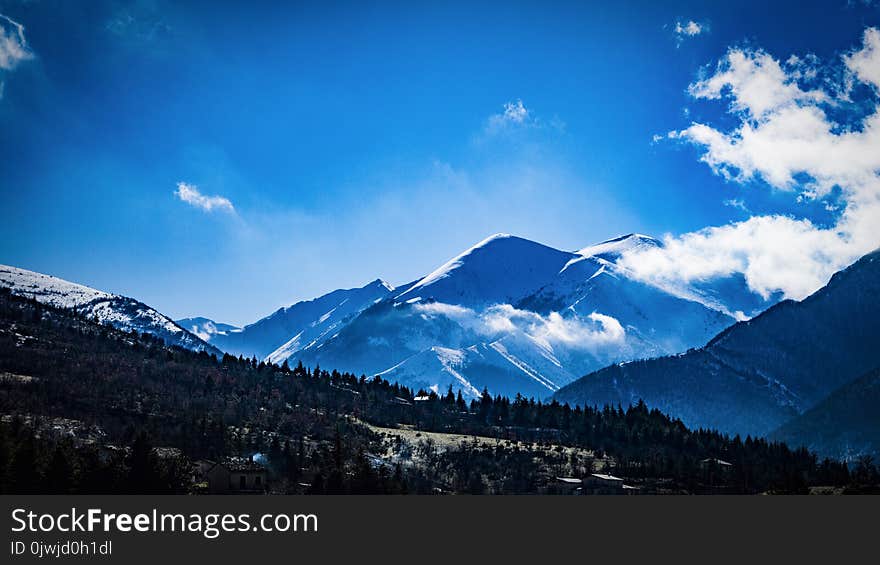 Photo of Trees on Mountains