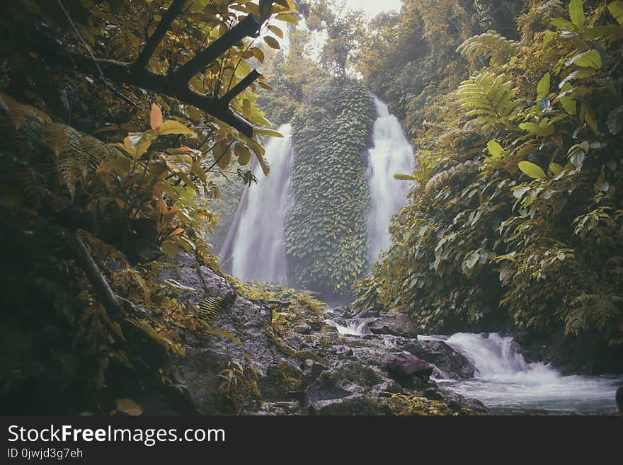 Photo of Falls Surrounded With Green Trees