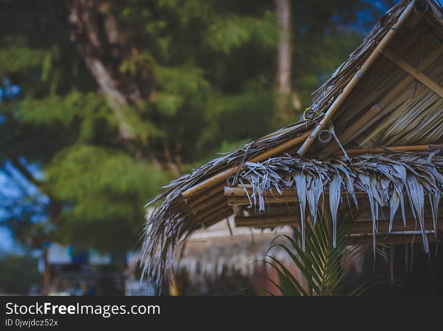 Selective Focus Photo of Brown Nipa Hut