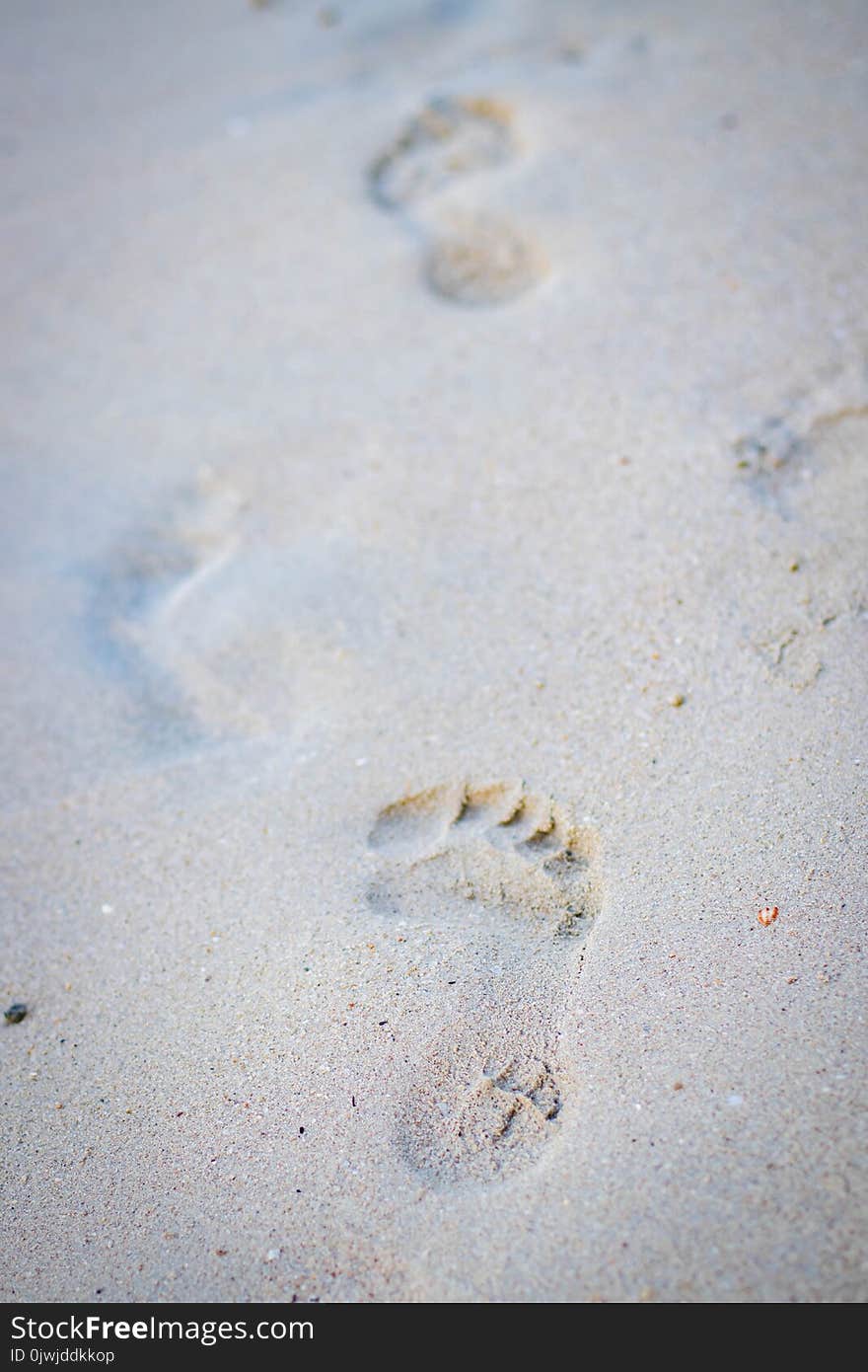 Photo of Foot Print on the Seashore