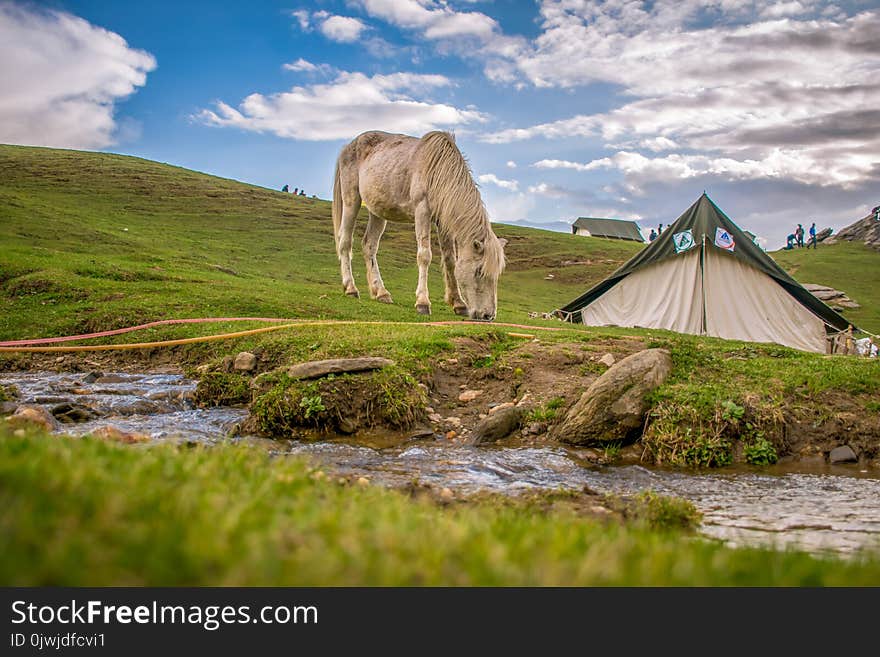 White and Black Tent on Green Grass Field