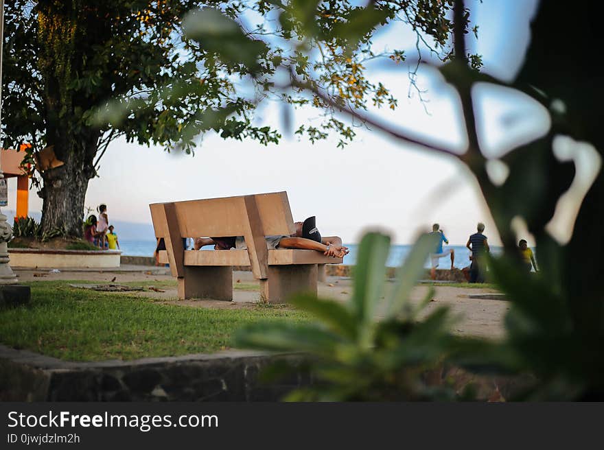 Photo of Brown Wooden Bench