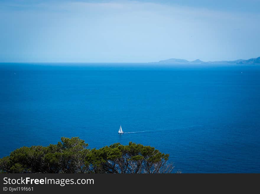 White Sailboat on Body of Water