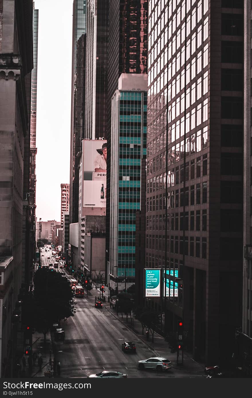 Blue and Black City Buildings