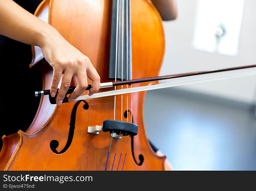 Close up of cello with bow in hands