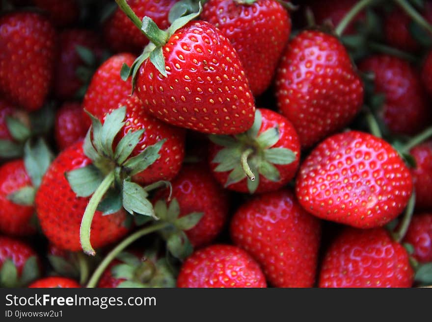 Background freshly harvested strawberries