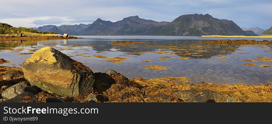 Scenic panoramic view of fjord on Lofoten islands with towering mountain peaks and reflection in water, yellow algae on big stone in foreground. Lofoten Islands. Lofoten landscape, Lofoten Islands, Nordland, Norway, Scandinavia, Europe. Scenic panoramic view of fjord on Lofoten islands with towering mountain peaks and reflection in water, yellow algae on big stone in foreground. Lofoten Islands. Lofoten landscape, Lofoten Islands, Nordland, Norway, Scandinavia, Europe.