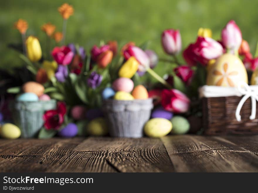 Easter eggs and tulips on wooden rustic table. Blue bokeh background. Easter eggs and tulips on wooden rustic table. Blue bokeh background.