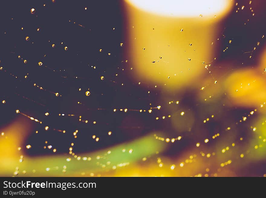 Drops of water on spider web natural filtered background. Drops of water on spider web natural filtered background.