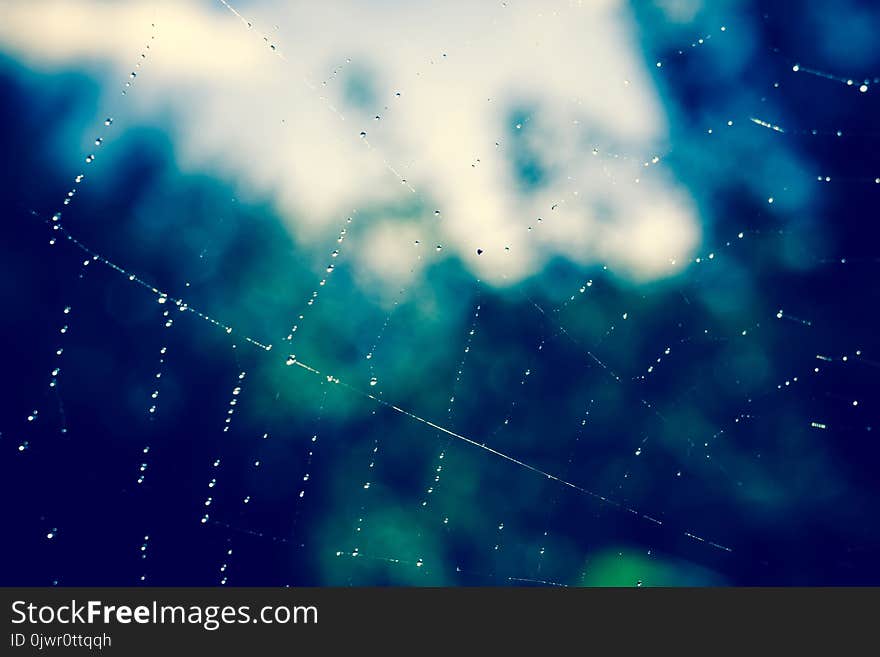 Drops of water on spider web natural filtered background. Drops of water on spider web natural filtered background.