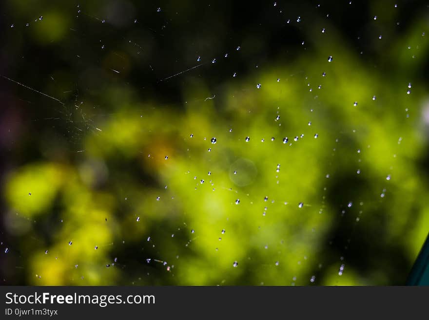 Drops of water on spider web natural background. Drops of water on spider web natural background.