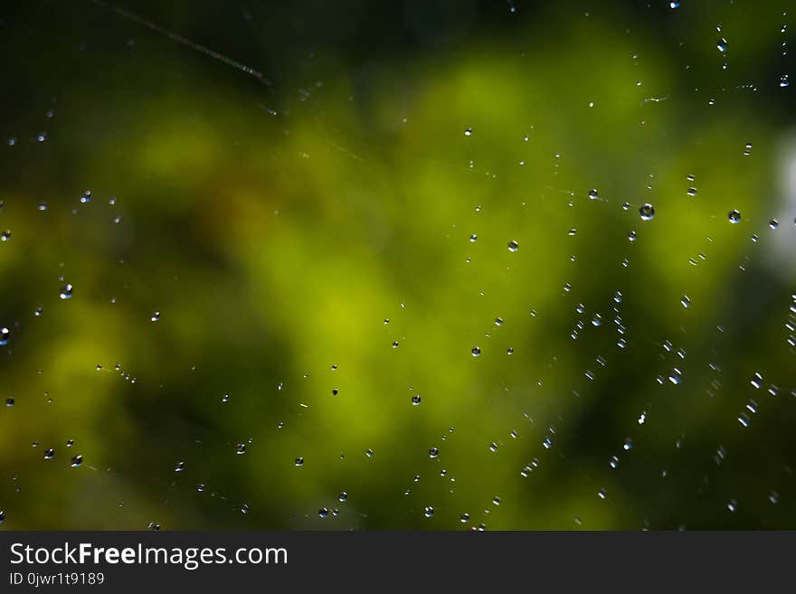 Drops of water on spider web natural background. Drops of water on spider web natural background.