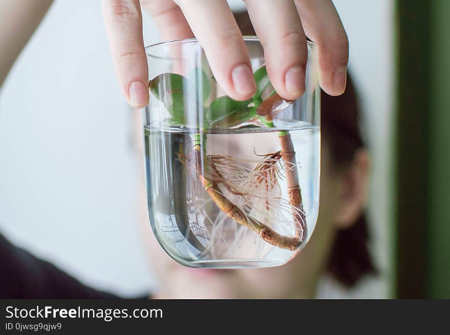 Front view of the female arm holding a jar with clean water and succulent small plant inside. Concept of ecology, treatment, care, healthcare, environment, nature protection, Earth day. Front view of the female arm holding a jar with clean water and succulent small plant inside. Concept of ecology, treatment, care, healthcare, environment, nature protection, Earth day.