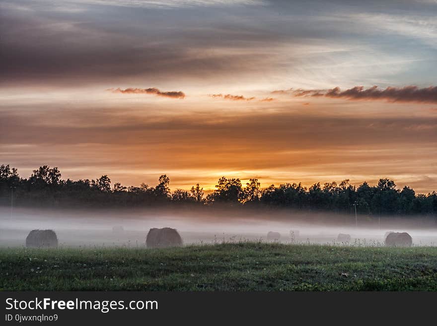 Fog Belt on the meadow