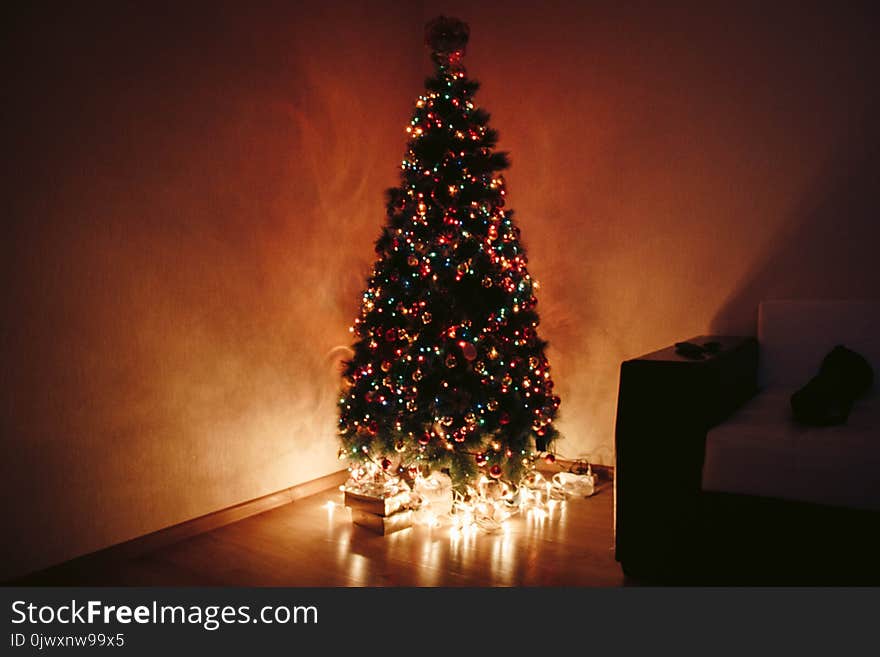 Photo of Christmas Tree During Night