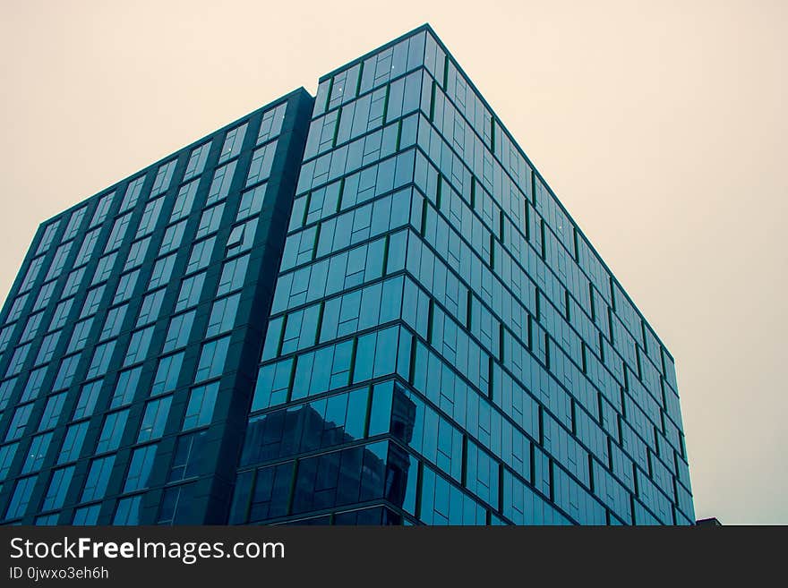 Low Angle Photography of Glass Building