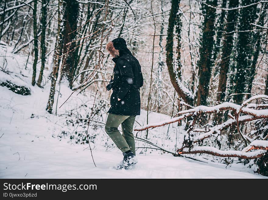 Photo of a Person in the Snowy Forest