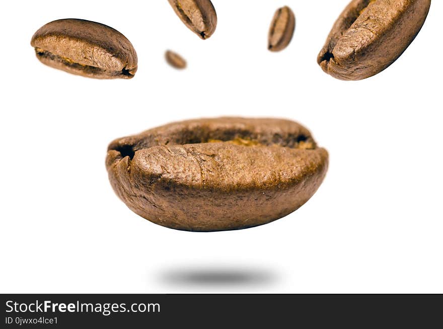 Closeup Photo of Coffee Bean