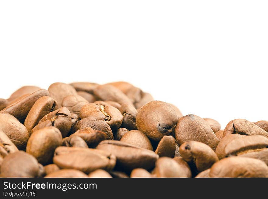 Selective Focus Photography of Coffee Beans