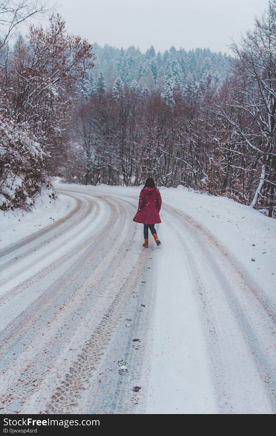 Woman Wearing Red Coat Standing on White Snow Road