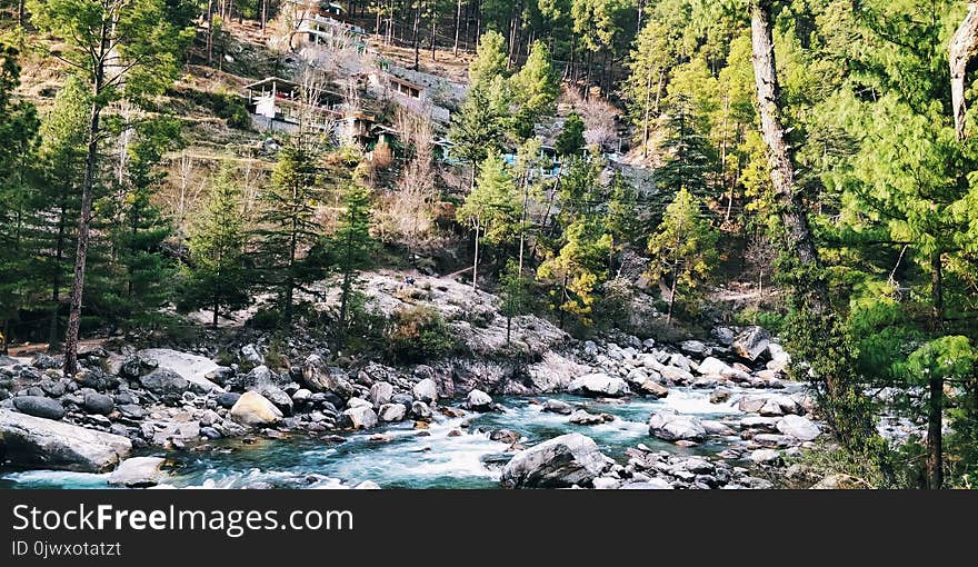 Time Lapse Photography of Body of Water Surrounded by Trees