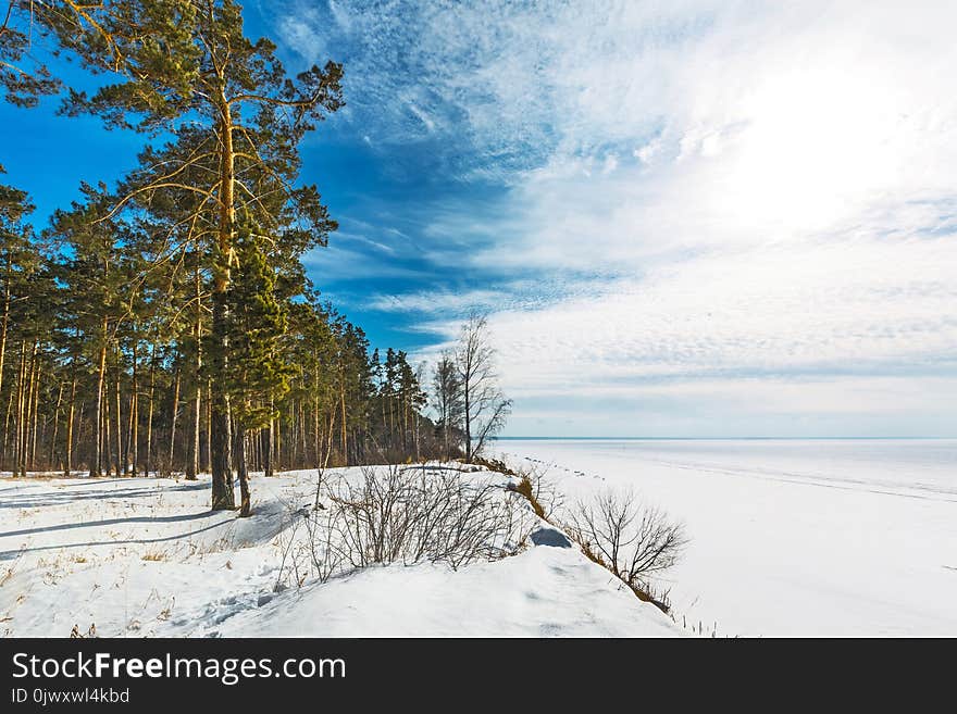 Winter Landscape. Siberia, The Coast Of The Ob River