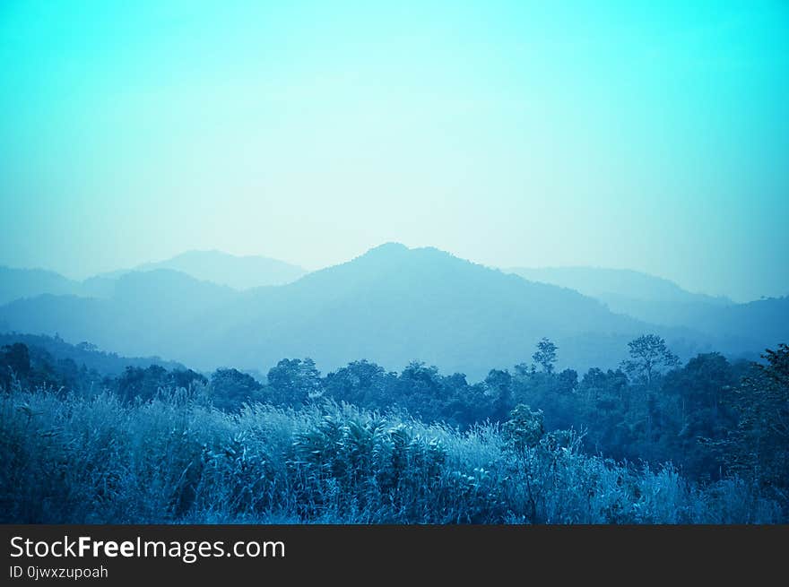 Mountain landscape nature background with blue filter effect