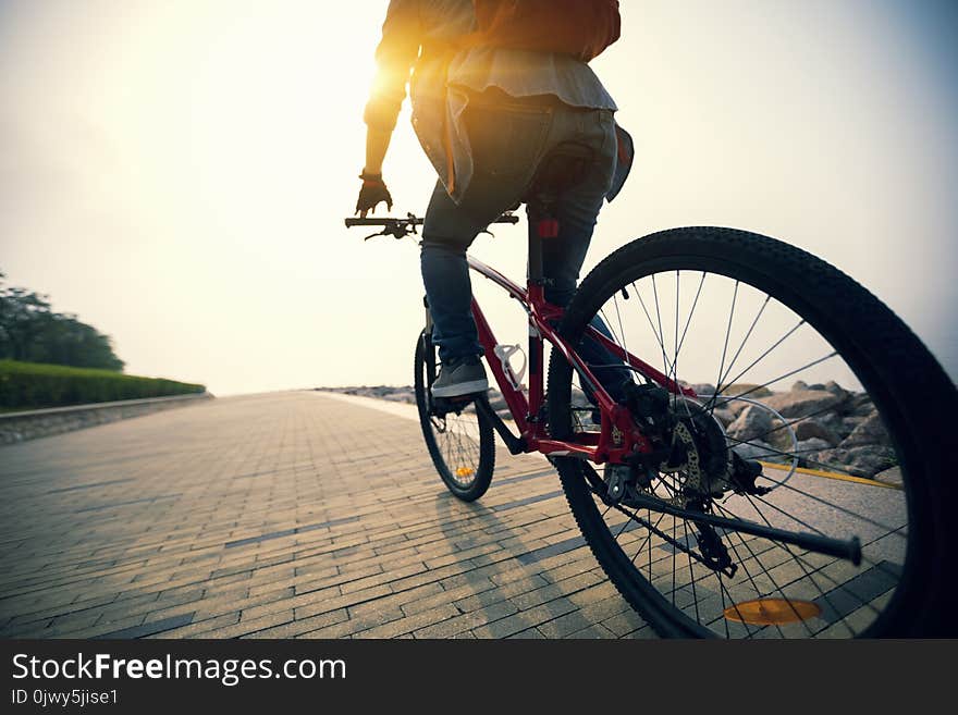 Cyclist riding bike in tropical park