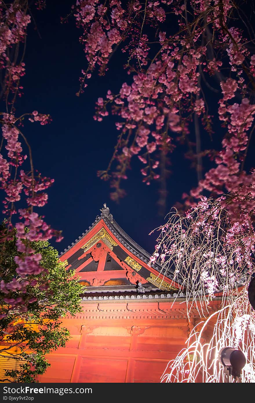 Ueno Sakura Matsuri Cherry Blossom Festival at Ueno ParkUeno Koen,Taito,Tokyo,Japan on April 7,2017:Bronze statue of Prince Ko