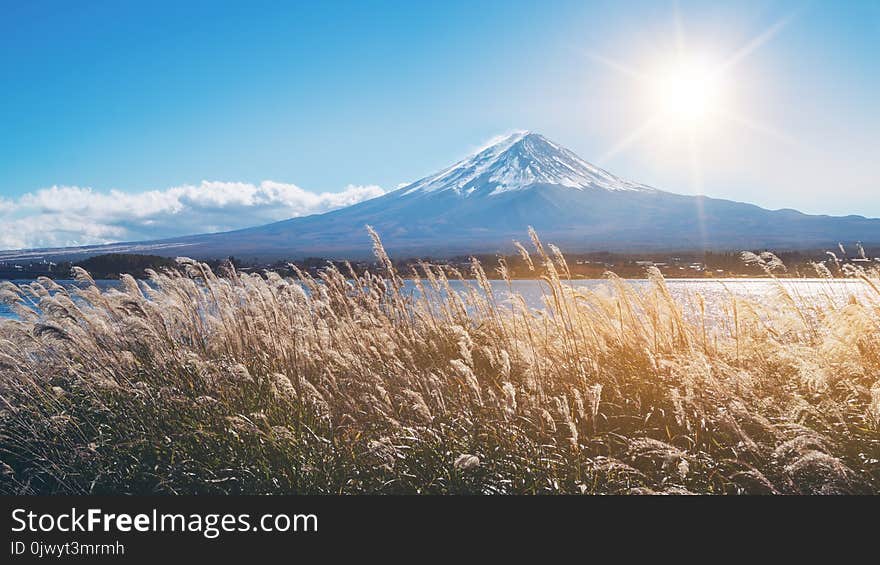 Autumn in Mount Fuji, Japan - Lake Kawaguchiko is one of the best places in Japan to enjoy scenery of Mount Fuji . Autumn in Mount Fuji, Japan - Lake Kawaguchiko is one of the best places in Japan to enjoy scenery of Mount Fuji .