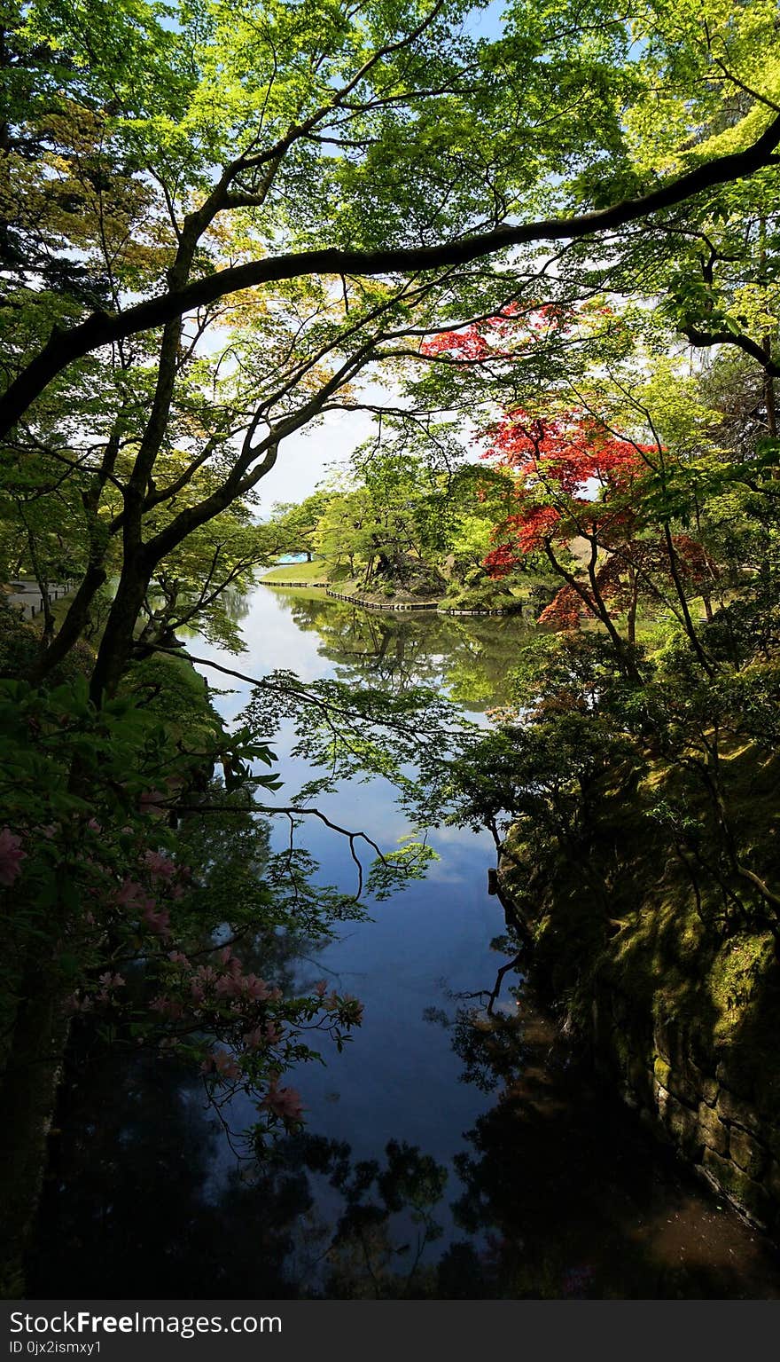 Japanese garden