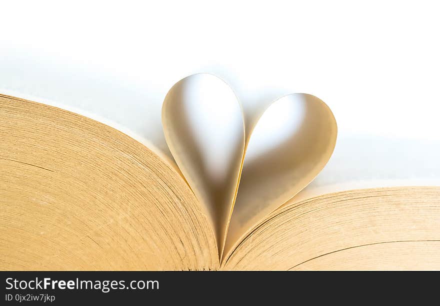 Book with opened pages of shape of heart isolated on white background. Love read concept. Knowledge symbol. Book day.