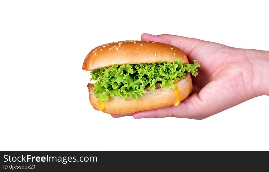 Hamburger on hands on white background,Hamburgers focus on healthy vegetables.