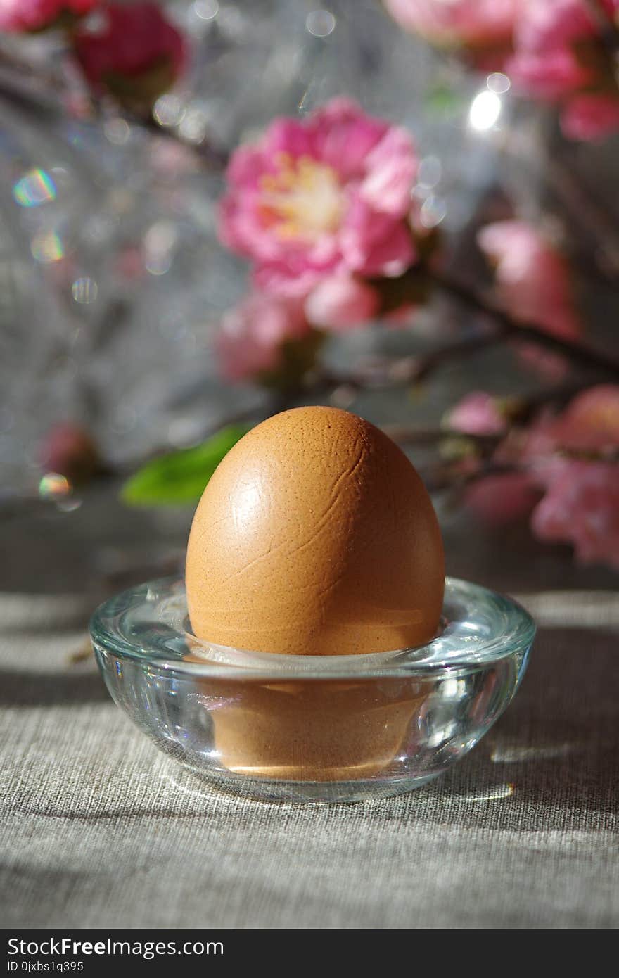 Egg in a glass stand against the sakura background