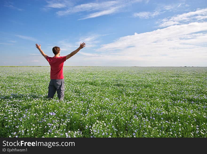 Man in green meadow. Emotional scene.