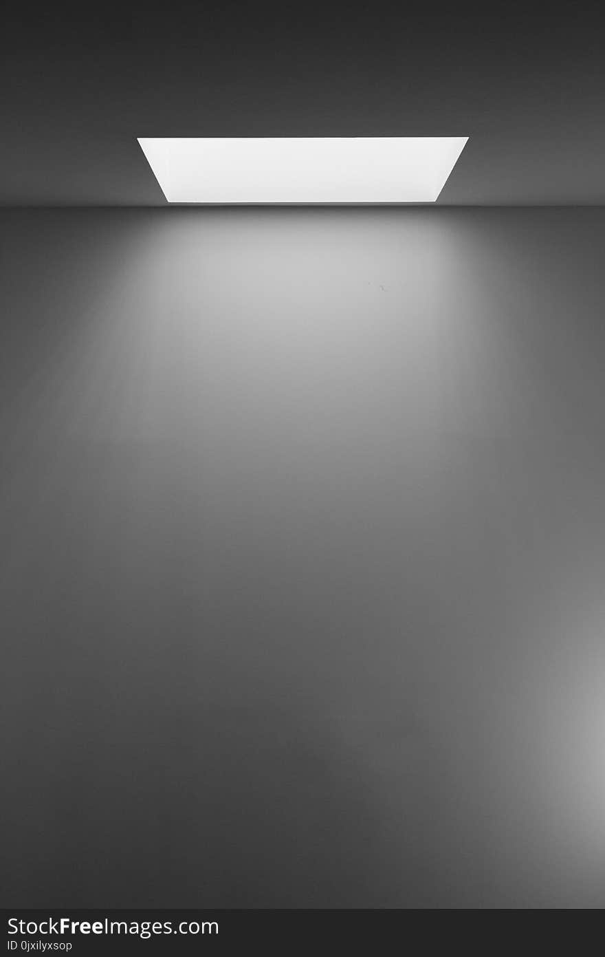 Grayscale Photography of White Concrete Wall