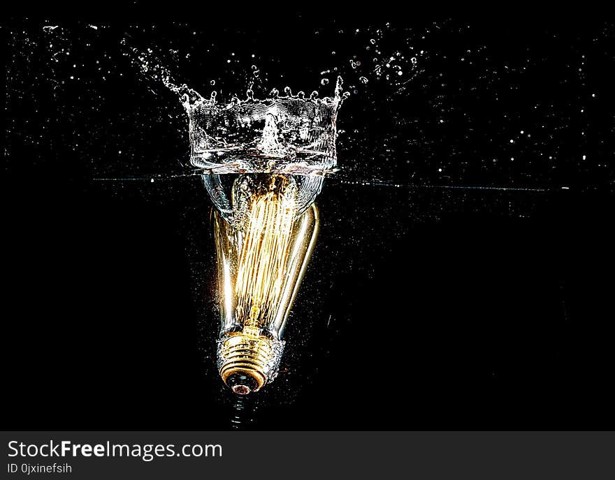 Photography of Light Bulb on Body of Water