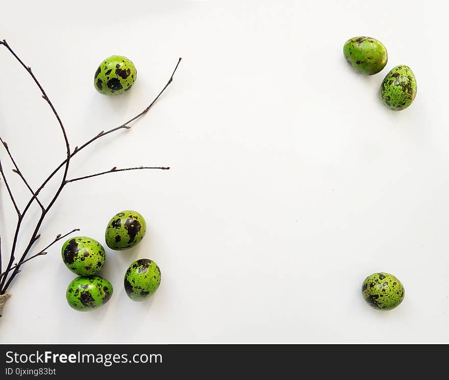 Eight Quail Eggs and Black Twigs